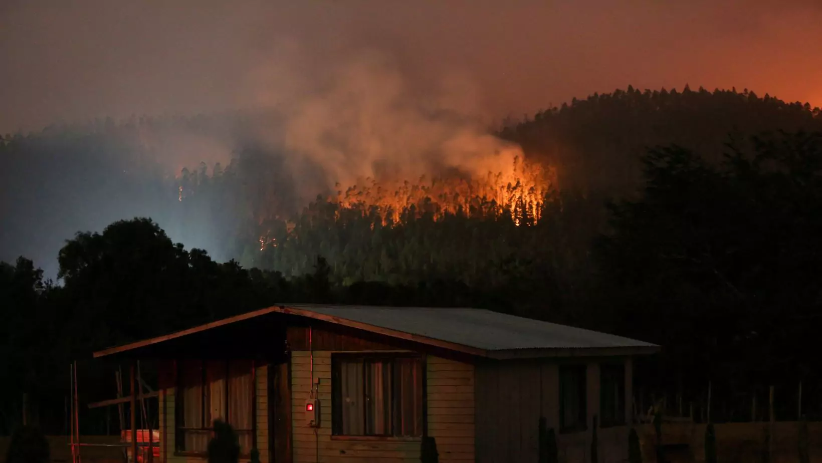चिली के जंगल में घनी आबादी वाला इलाका आग की चपेट में